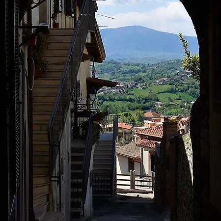 Palazzo Rosa Frühstückspension Frosinone